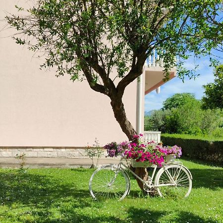 Apartman Dolcerosa Kotor Exterior foto