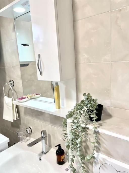 Apartman Dolcerosa Kotor Exterior foto