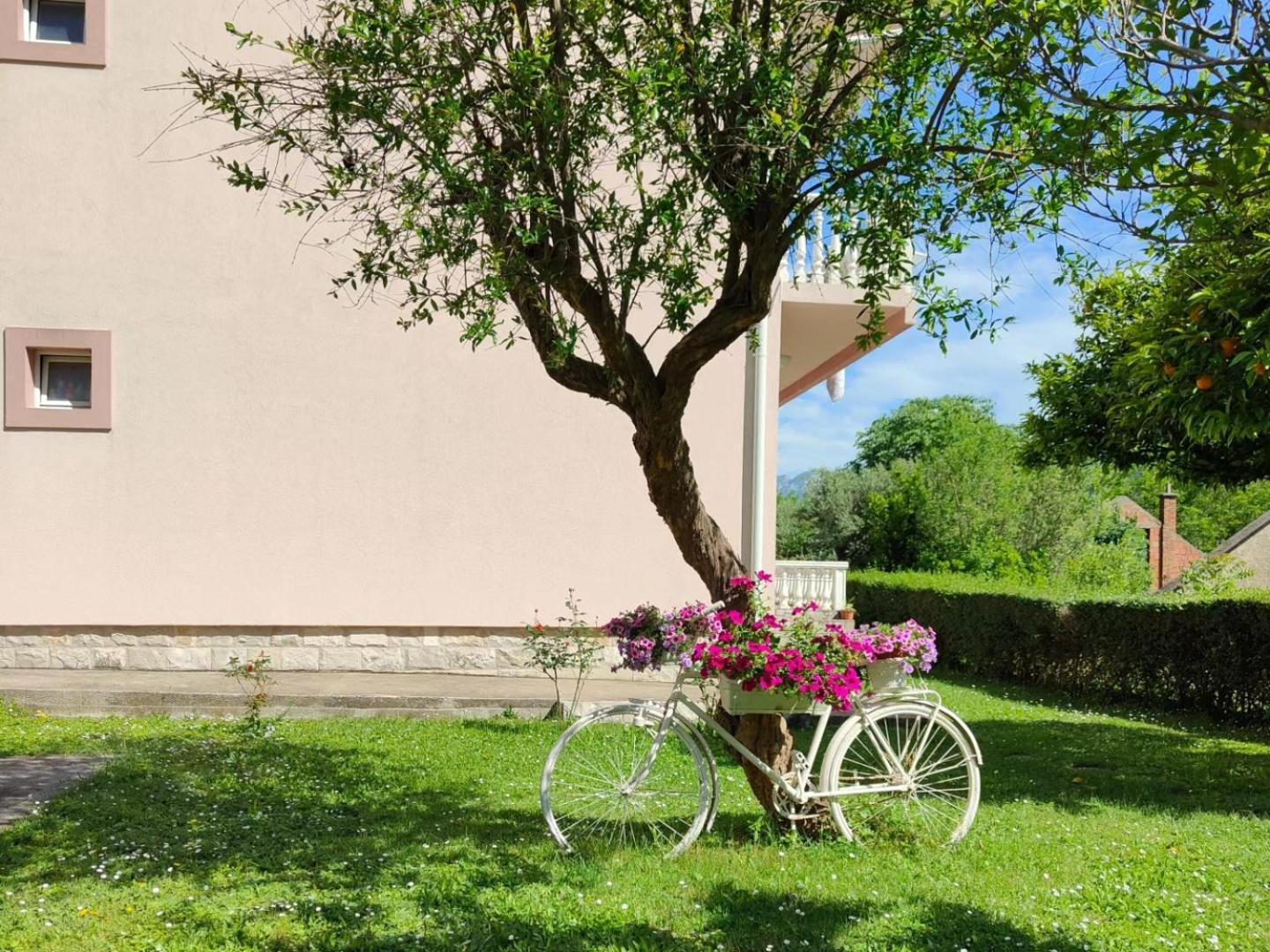 Apartman Dolcerosa Kotor Exterior foto